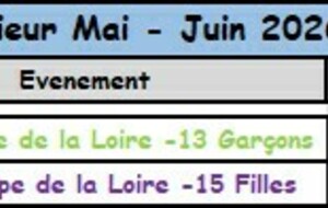 Finale Coupe de la Loire -13G et -15F Samedi 20 Juin 13H30 et 15H Gymnase Jean Gachet ST ETIENNE