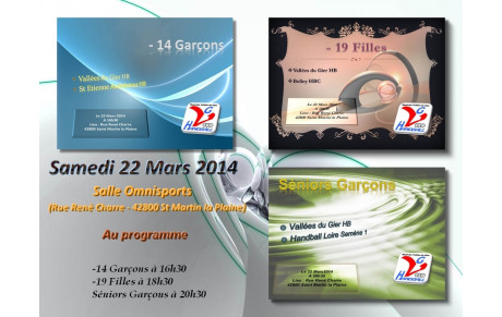 3 Matchs à Saint Martin la Plaine